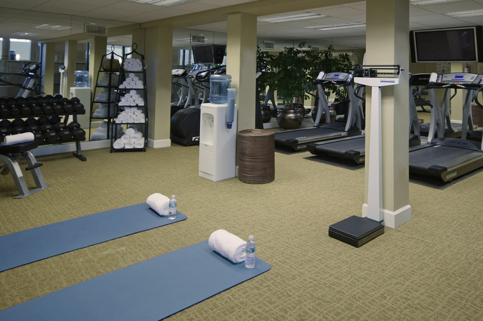 Crowne Plaza Jacksonville Airport By Ihg Ngoại thất bức ảnh